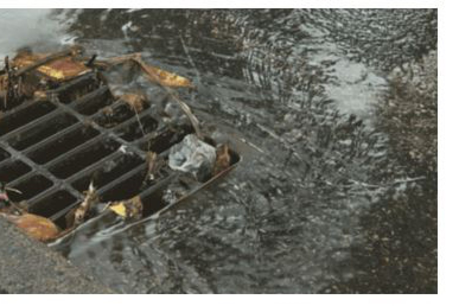 photo of drain with few leaves